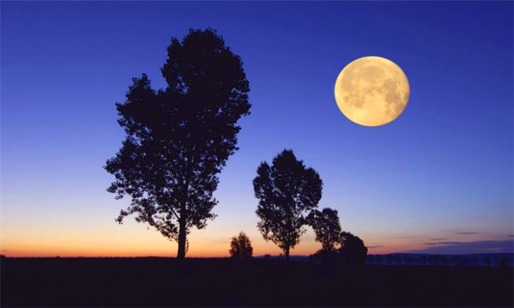 为什么会有白天和黑夜