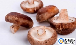 新鲜香菇洗了第二天可以吃吗