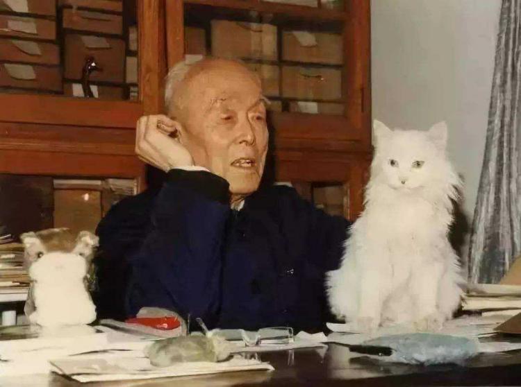 季羡林被誉为什么