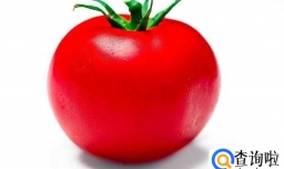 番茄火锅底料的做法