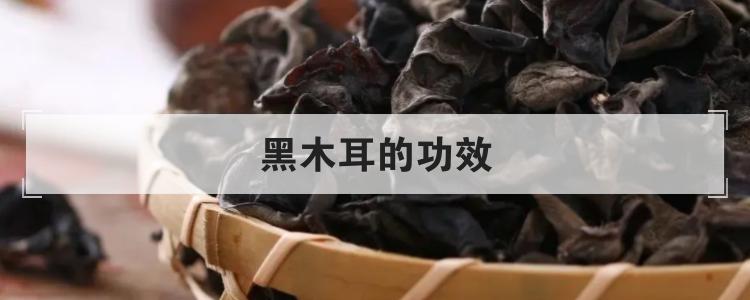 黑木耳的功效br