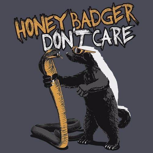 蜜獾的天敌是什么动物