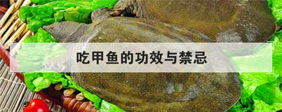 吃甲鱼的功效与禁忌