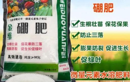 硼肥在果树使用禁忌