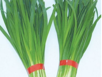 蜂蜜不能和什么一起吃