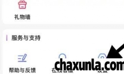 比熊语音软件中如何查看隐私设置