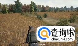 绝地求生大逃杀吃鸡如何快速发现敌人