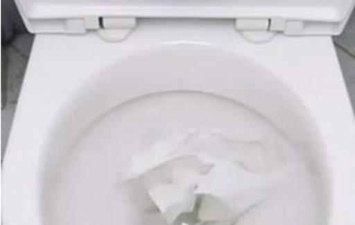 马桶被纸堵了怎么办
