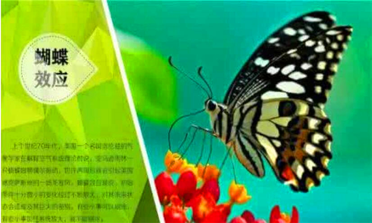 蝴蝶效应是什么意思