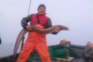 世界上最大的黄鳝