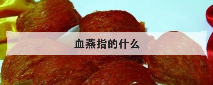 血燕指的什么