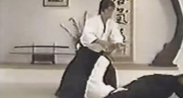 世界七大武术家