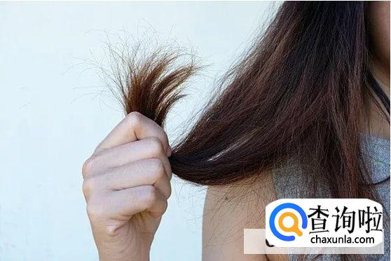 头皮油发尾干是什么发质