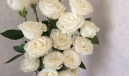 女孩子喜欢什么礼物