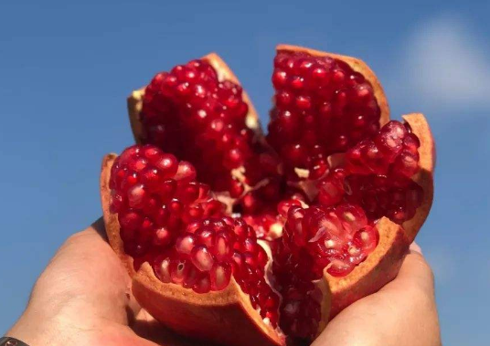 石榴籽能吃吗