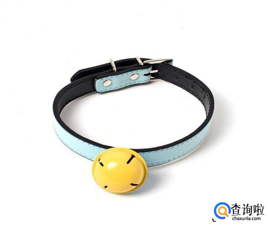 怎么让狗狗习惯戴上项圈