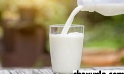 喝奶能不能预防癌症