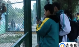 南宁二中可带宠物上学吗？学校：真的