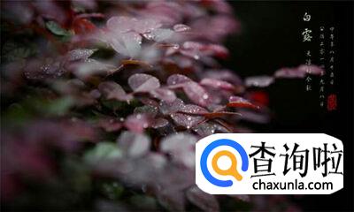 白露节气的含义是什么