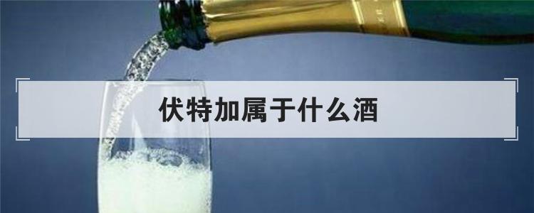 伏特加属于什么酒