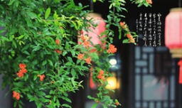 有寓意的名字有哪些？