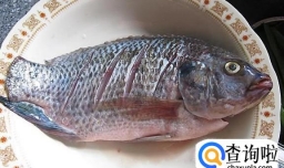 鲫鱼豆腐汤的做法 孕妇食谱