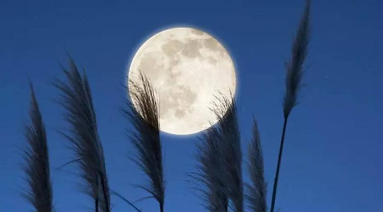 月是故乡明上一句是什么