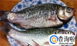 下奶汤，鲫鱼豆腐汤的做法！