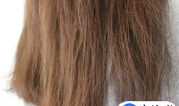 头发很毛躁怎么办