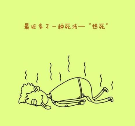 夏天一共几个伏