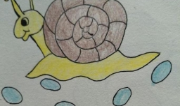 简笔画小蜗牛画法
