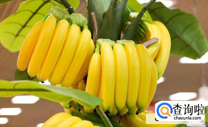 晚上吃水果会胖吗