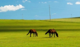五个自治区成立的时间