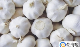 发酵黑蒜的做法