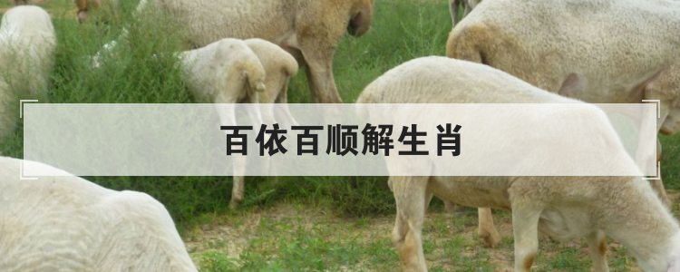 百依百顺解生肖