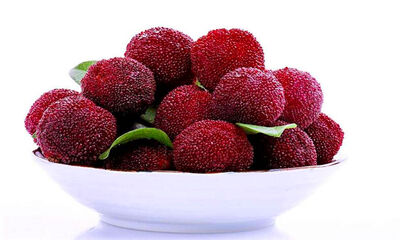 吃杨梅的好处和禁忌