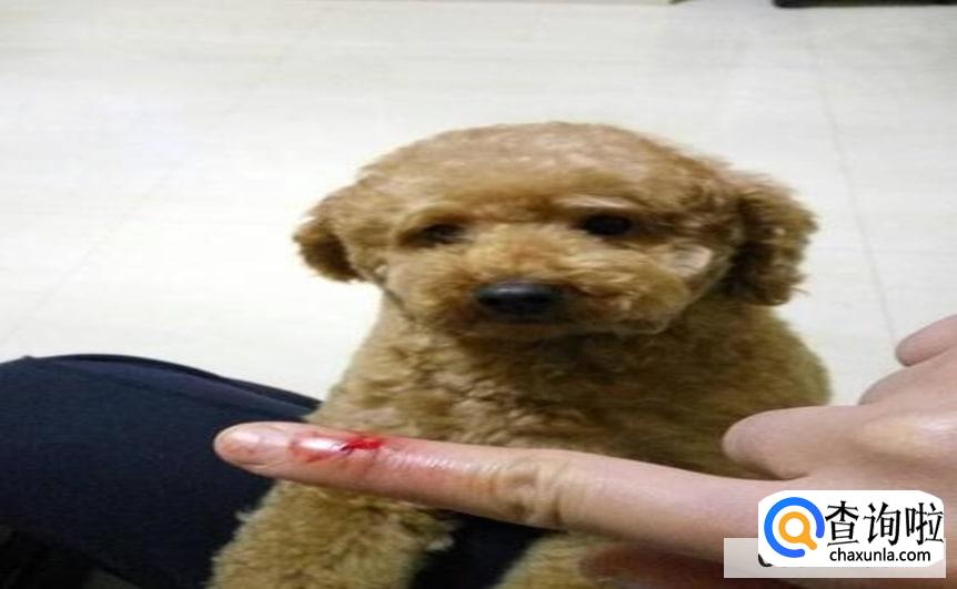 被狗咬了流血怎么办？打针费用多少？