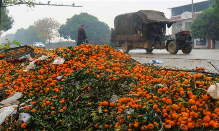 滞销是什么意思