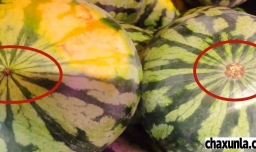 挑选西瓜的注意事项