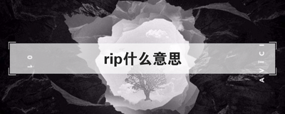 rip什么意思