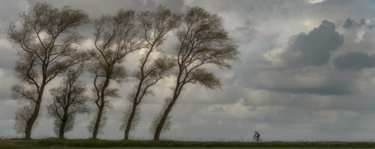 呼风唤雨的意思是什么
