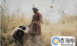 贝雷帽的起源 怎样挑选适合自己的贝雷帽