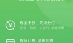 怎样用分付向对方付款