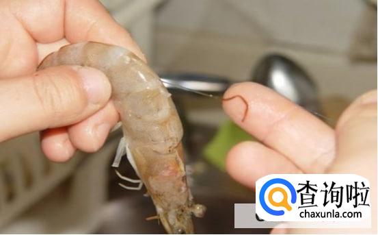 虾头哪里不能吃