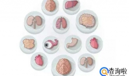 人被拿掉哪些器官不会死？身体的5个“无用”器官，你知道几个？