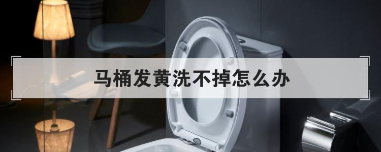 马桶发黄洗不掉怎么办