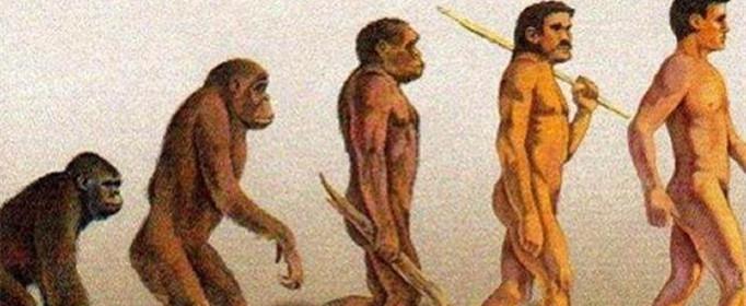 为什么人没有尾巴