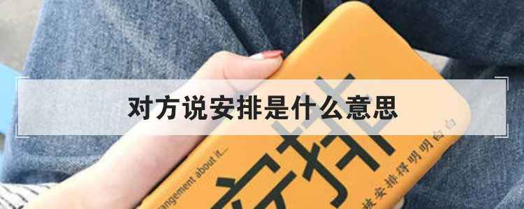 对方说安排是什么意思
