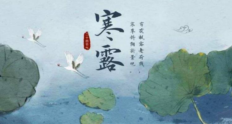 寒露节气的含义