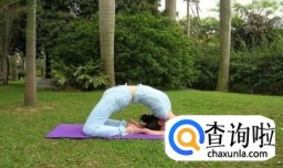 教你适合初学者的瑜伽体式